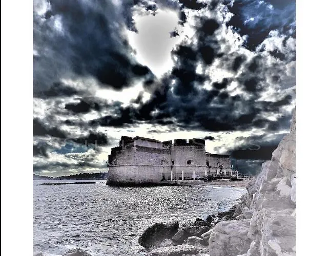 Daire Le Mitre - 43M2 Clim Et Balcon A 200M Des Plages Toulon